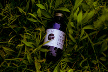 Load image into Gallery viewer, Elderberry Elixir